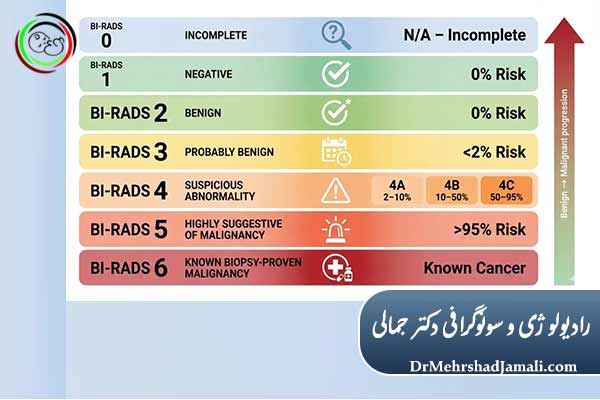 BI-RADS  در ماموگرافی چیست ؟