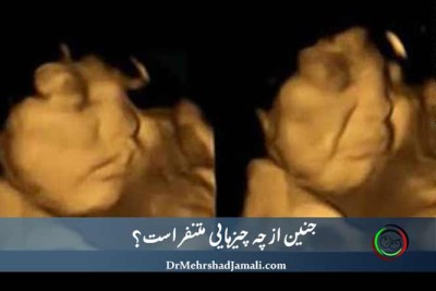 متنفرترین چیزها برای جنین + راهنمای سونوگرافی بارداری